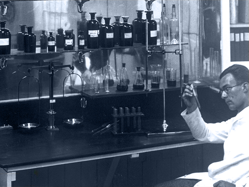 Pharma Consulting Development Approval Production En